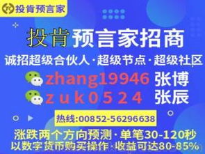 金融产品代理供应商与批发市场竞争格局及广告设计策略